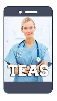 TEAS Online Course